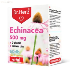   Dr. Herz Echinacea 500 mg+C-vitamin+Szerves Cink 60 db kapszula doboz