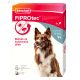 Beaphar FIPROtec SpotOn M közepes testű kutyáknak (10-20kg) 6db