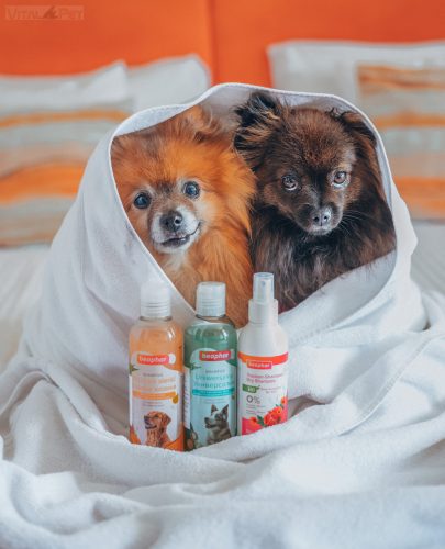 Beaphar Univerzális Sampon kutyáknak makadámia olajjal 250ml