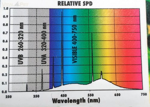 Zoo Med Tropic Sun 5500K Daylight T8 fénycső 15w/45 cm