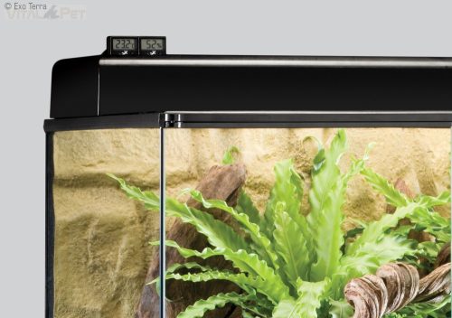 Exo Terra digitális hőmérő