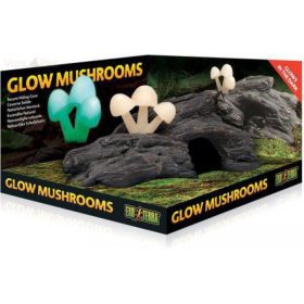 Exo Terra fatörzs fluoreszkáló gombával