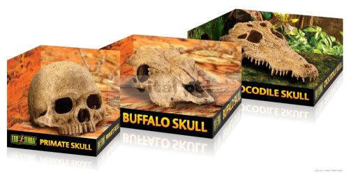Exo Terra Primate Skull - koponya