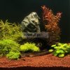 JBL Manado akváriumtalaj 5 l speciális növénytáptalaj