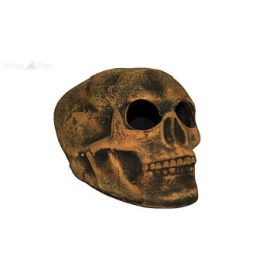 Kerámia M063 koponya közepes  16,5×11×11