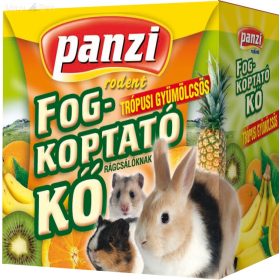 Panzi fogkoptató trópusi gyümölcsös