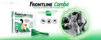 Frontline Combo Spot On Macska 0,5 ml (3db, 3x0,5 ml)
