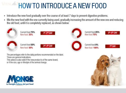 Gemon Dog ADULT SALMON 15kg Lazac