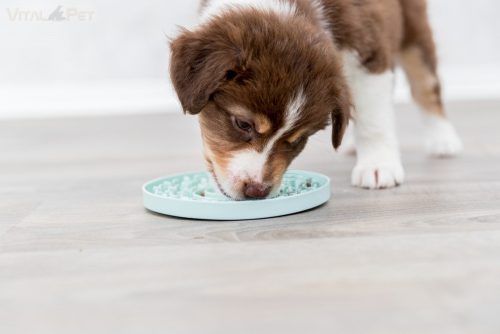 Trixie Lick'n'Snack nyalogató tál kutyáknak 15cm