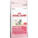 Royal Canin FHN Kitten 36 10 kg 