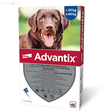 Image of Advantix® 1 db spot on 25-40 kg közötti kutyáknak 1x4 ml