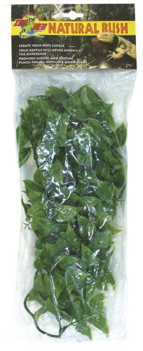 Image of Zoo Med Small Mexican Phyllo terráriumi műnövény