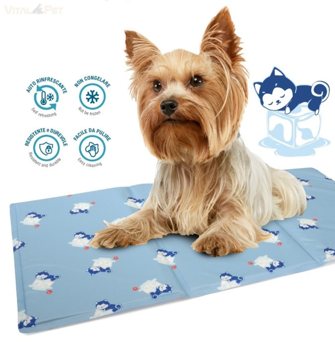 Image of HŰSÍTŐ MATRAC 50X40CM