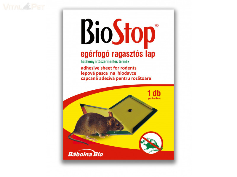 Image of Biostop Egérfogó ragasztós lap
